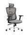 Компьютерное кресло Rene Black Grey Ergomix Серый