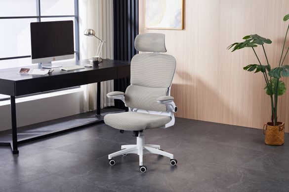 Компьютерное кресло Torso Light Grey Ergomix Светло Серый фотография
