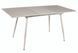 Стол Обеденный DAOSUN DT 859 120(160)x80 Шампань Мат