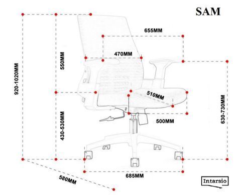 Компьютерное кресло SAM Intarsio Серый/белый каркас фотография