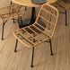 Стул MEBEL ELITE WALDI Ротанг