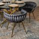 Стул бархатный MEBEL ELITE CAPRI Velvet Серый / Золотой