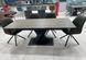 Стіл розкладний TML-680 VETRO 160(200)x90 Попільний Дуб
