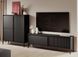 Стенка Perfect Home Сенсо / Senso D Черный