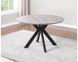 Стіл розкладний TML-660 VETRO 120x120 Попелястий Дуб