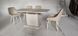 Стіл розкладний TMM-50-2 VETRO 110x70 Молочний Матовий