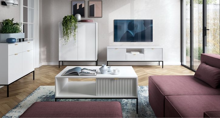 Тумба под телевизор Perfect Home Новая/Nova 1-дверная с 2 ящиками и черными ножками RTV154 Белый фотография
