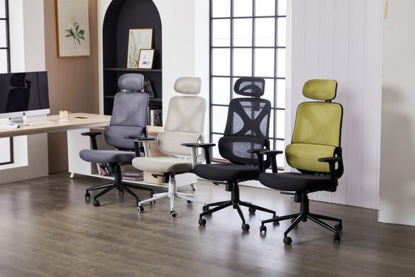 Комп'ютерне крісло Level Light Grey Ergomix Світло Сірий фотографія