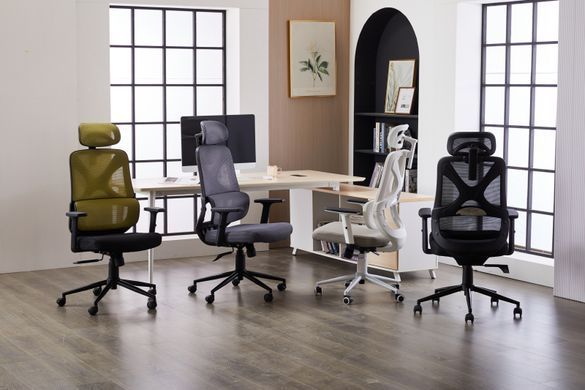 Комп'ютерне крісло Level Light Grey Ergomix Світло Сірий фотографія