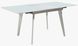 Стол раскладной DST 156 DAOSUN 130(170)x80 Белый