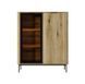 Витрина низкая с подсветкой Perfect Home Уилсон / Wilson 2-дверная 1D1W/113 Дуб эвок