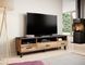 ТВ Тумба LOTTA 3S3K RTV Cama 180 Черный Мат / Дуб Вотан
