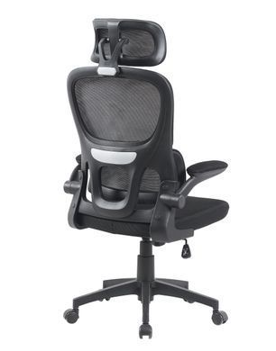 Комп'ютерне крісло Torso Black Ergomix Чорний фотографія