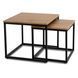 Набор журнальных столиков (2 шт) MEBEL ELITE CARMI Дуб золотой/Черный